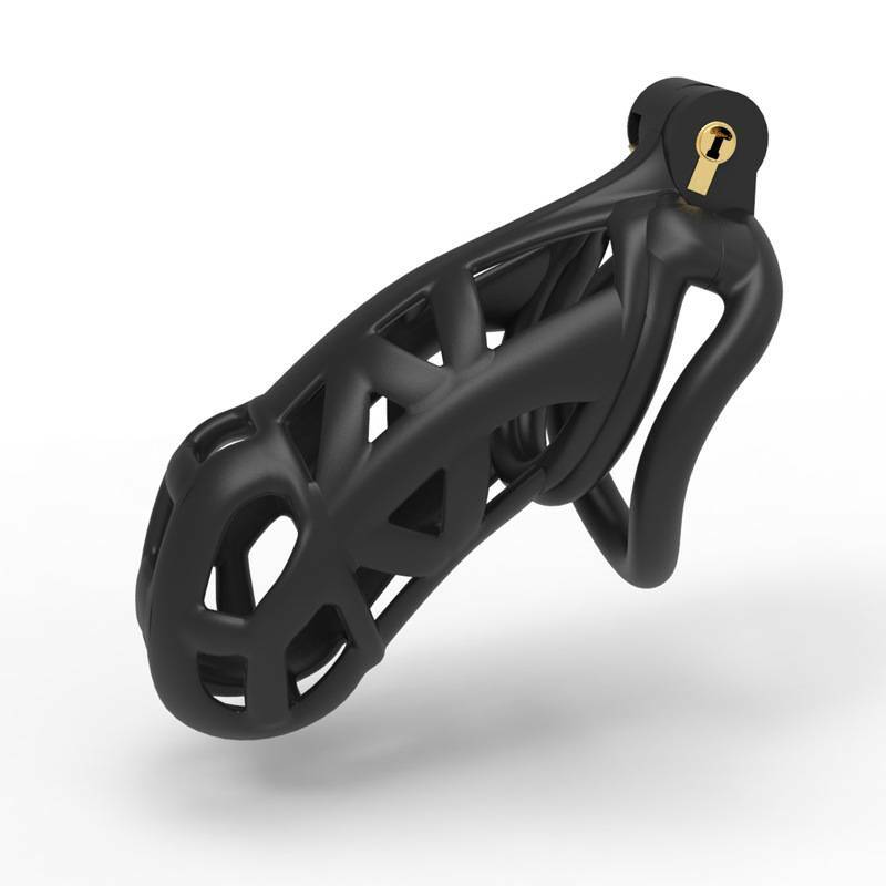 Cobra Style Cage - Image 2