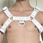 Leather Bulldog Harness - Image 1