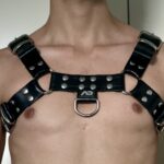 Leather Bulldog Harness - Image 1