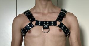 Leather Bulldog Harness