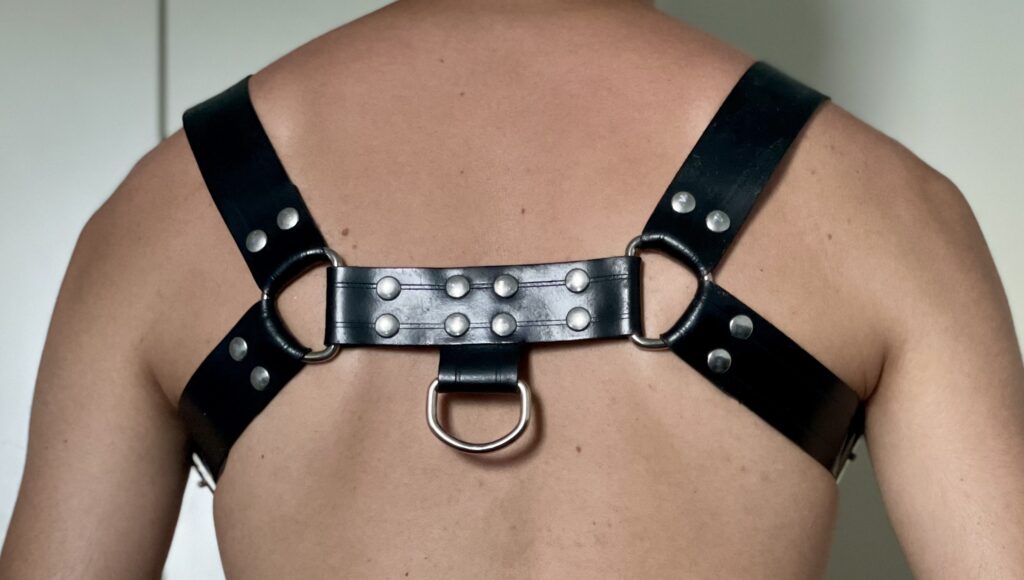 Leather Bulldog Harness