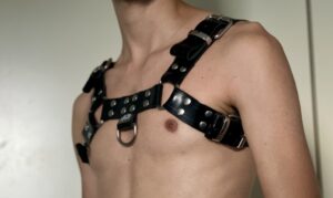 Leather Bulldog Harness