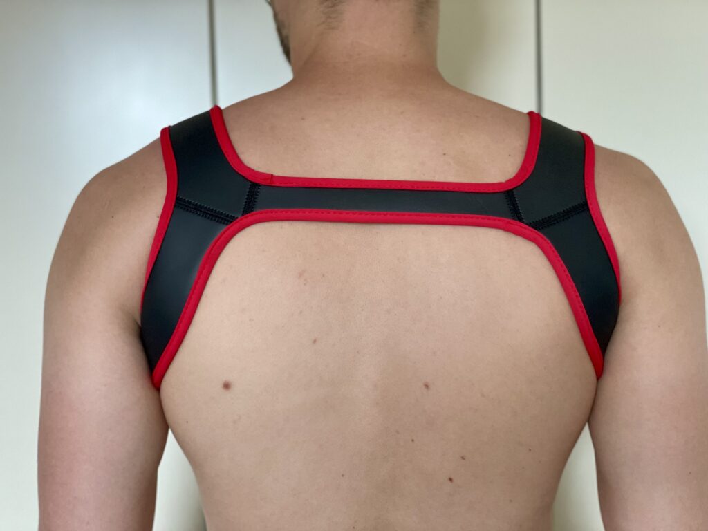 Neoprene Harness