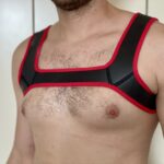Neoprene Harness - Image 7