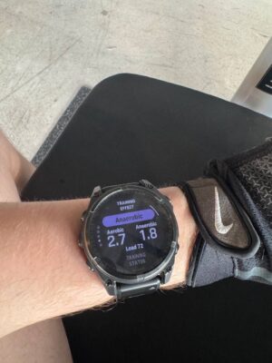 fēnix® 8 – 47 mm, Solar